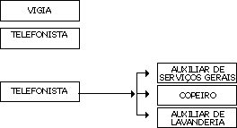 Organograma