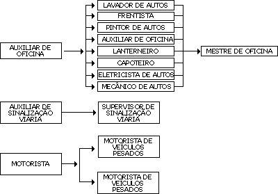 Organograma
