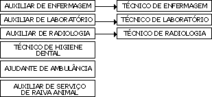 Organograma