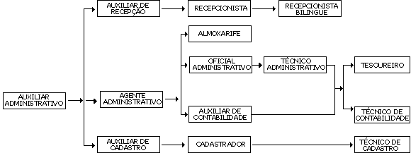 Organograma
