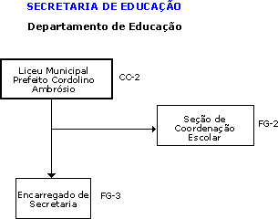 Organograma